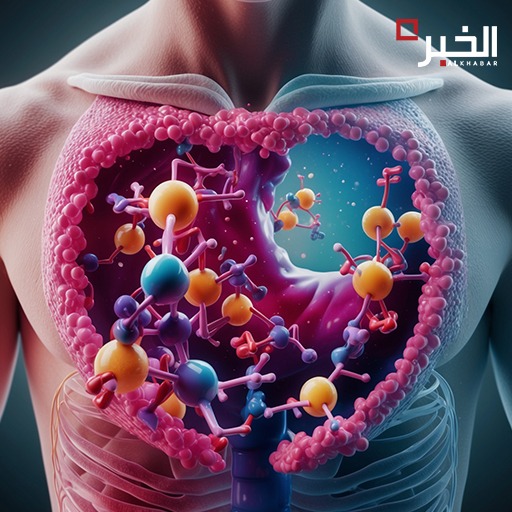 تفكيك الإستروجين: رحلة بين الحماية والموت الخلوي